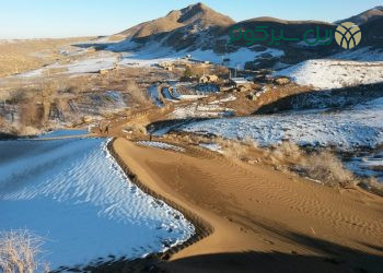 تنوع زیستی شاهرود