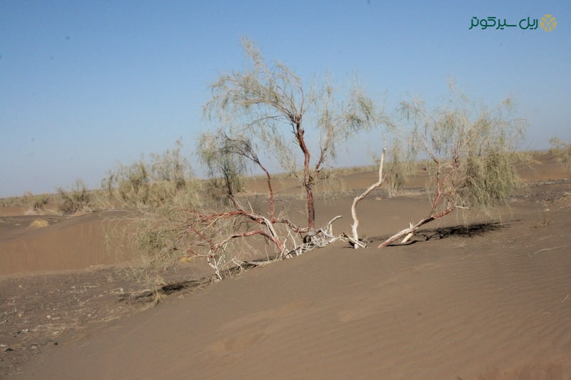 کویر حلوان طبس