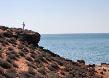سفر به جزیره لارک