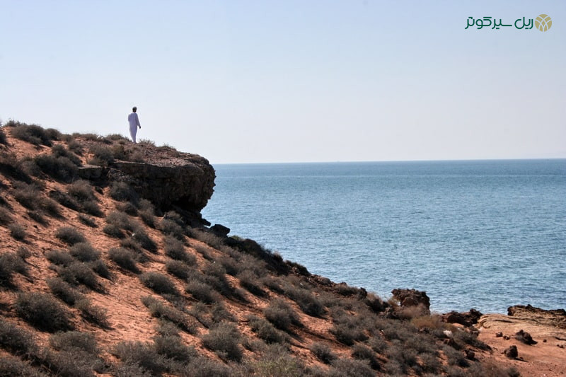 جزیره لارک