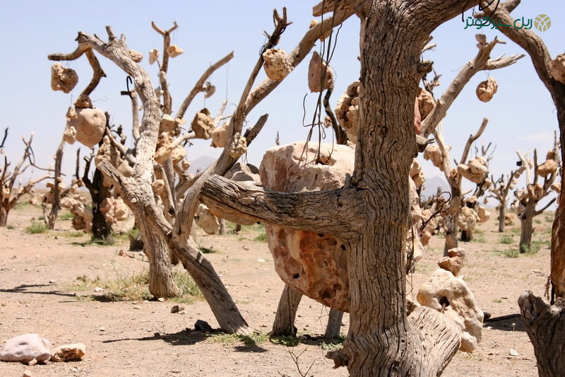 باغ سنگی سیرجان