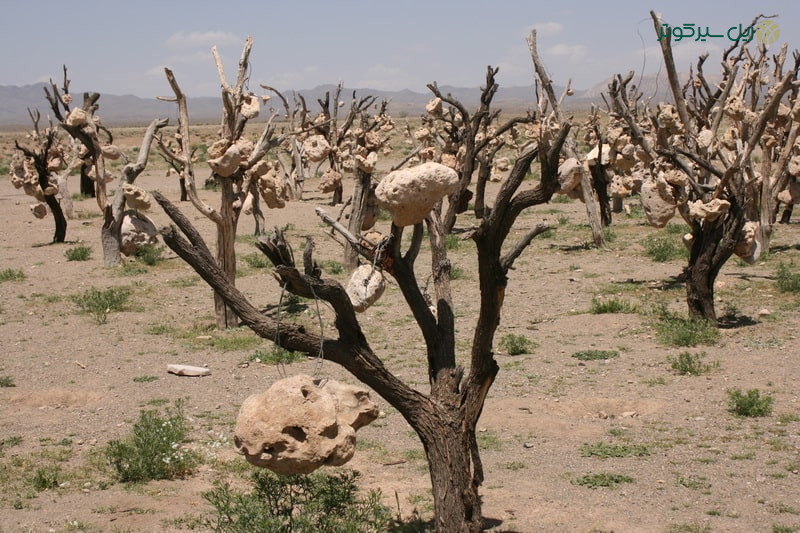 باغ سنگی سیرجان