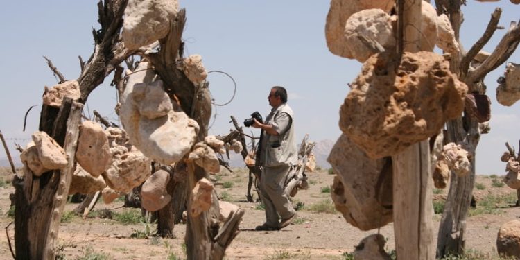 باغ سنگی سیرجان