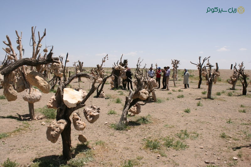 باغ سنگی سیرجان