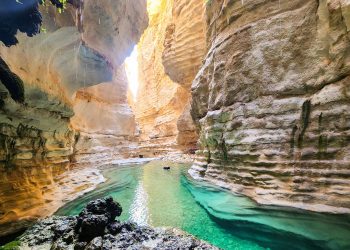 سفر لوکس قطار